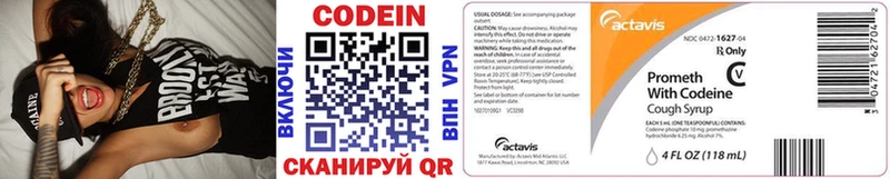 mega ТОР  Пущино  Codein Purple Drank 