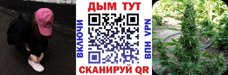 kraken   Пущино  Марихуана OG Kush  цены наркотик 